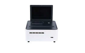 Isothermal Amplification and Detection System